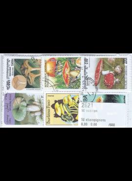 50 vnt. skirtingų pašto ženklų pakuotė "Grybai" 2621