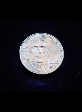 JAV, 5 centai 2007m-P
