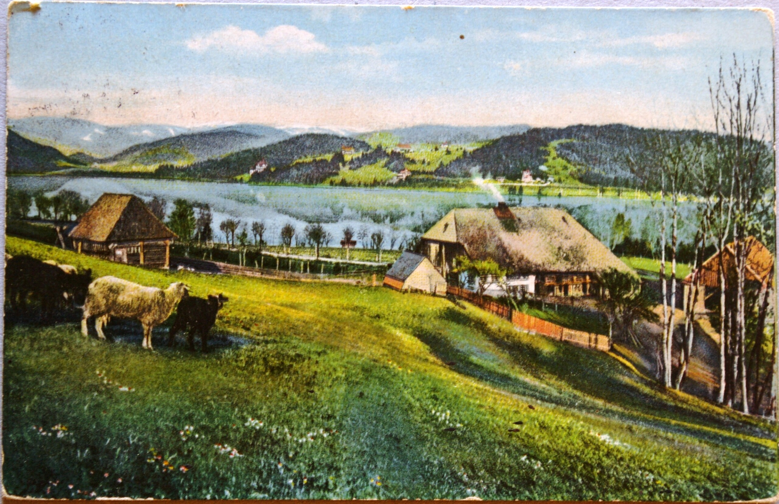 Vokietijos Reichas, Titizis 1914m atvirlaiškis