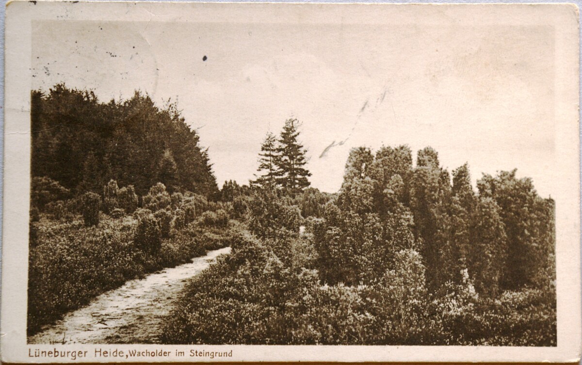 Vokietijos Reichas, Liuneburgas 1917m atvirlaiškis