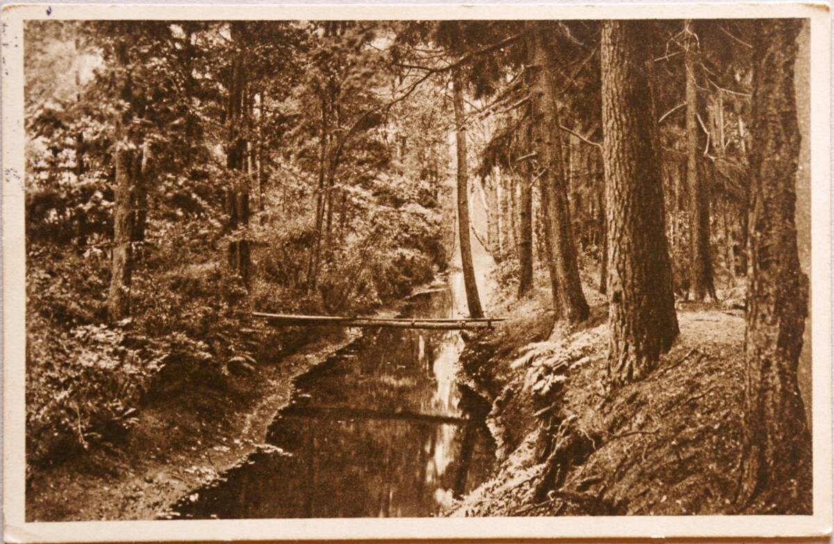 Vokietijos Reichas, Liuneburgas 1912m atvirlaiškis