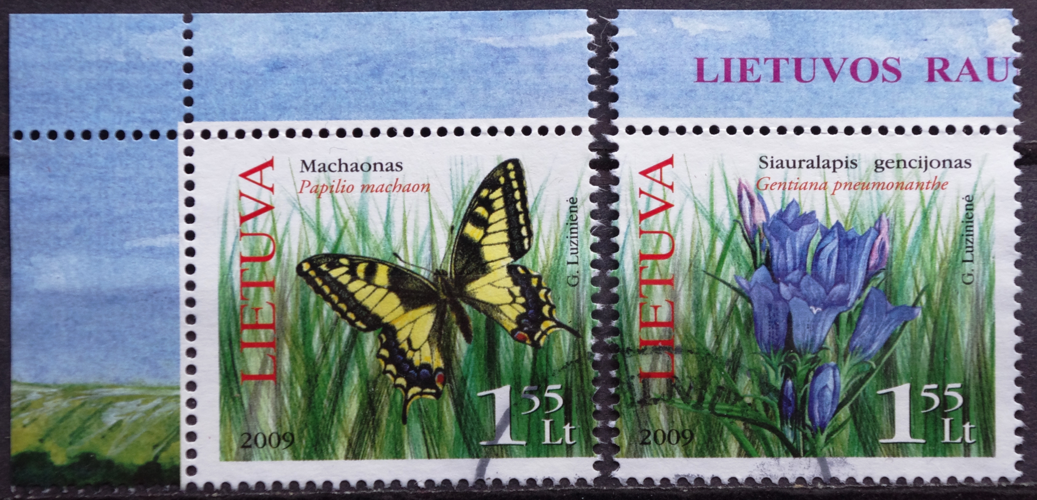 pašto ženklai, Lietuva. Lietuvos raudonoji knyga. Pievų flora ir fauna: machaonas ir siauralapis gencijonas