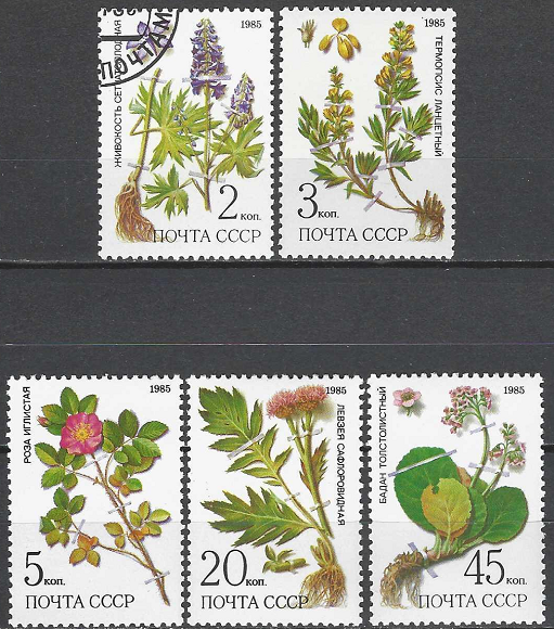 pašto ženklai, Rusija. Medicininiai augalai