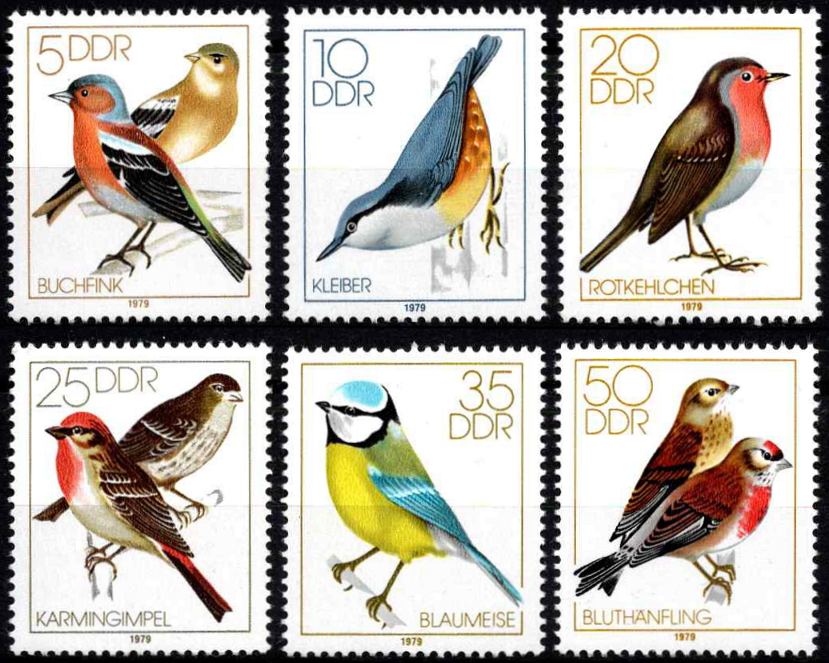 Vietiniai paukščiai giesmininkai