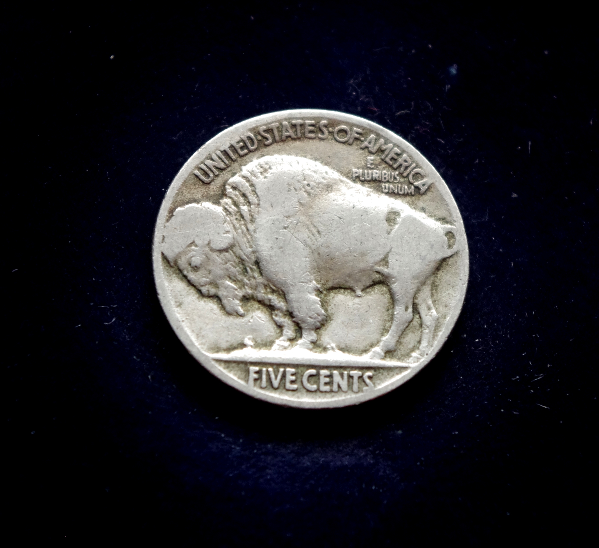 JAV 5 centų moneta. Bizonas (Buffalo)