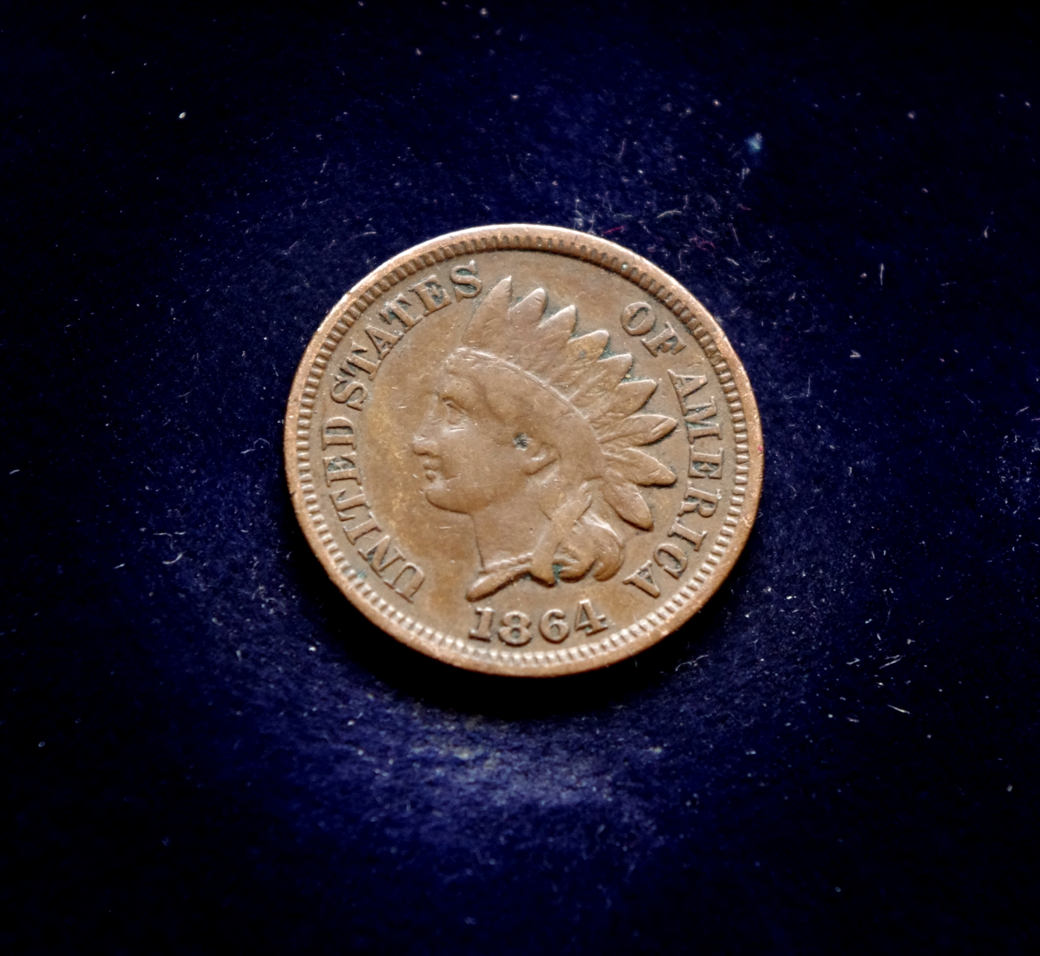 JAV 1 cento moneta. Indėno galva