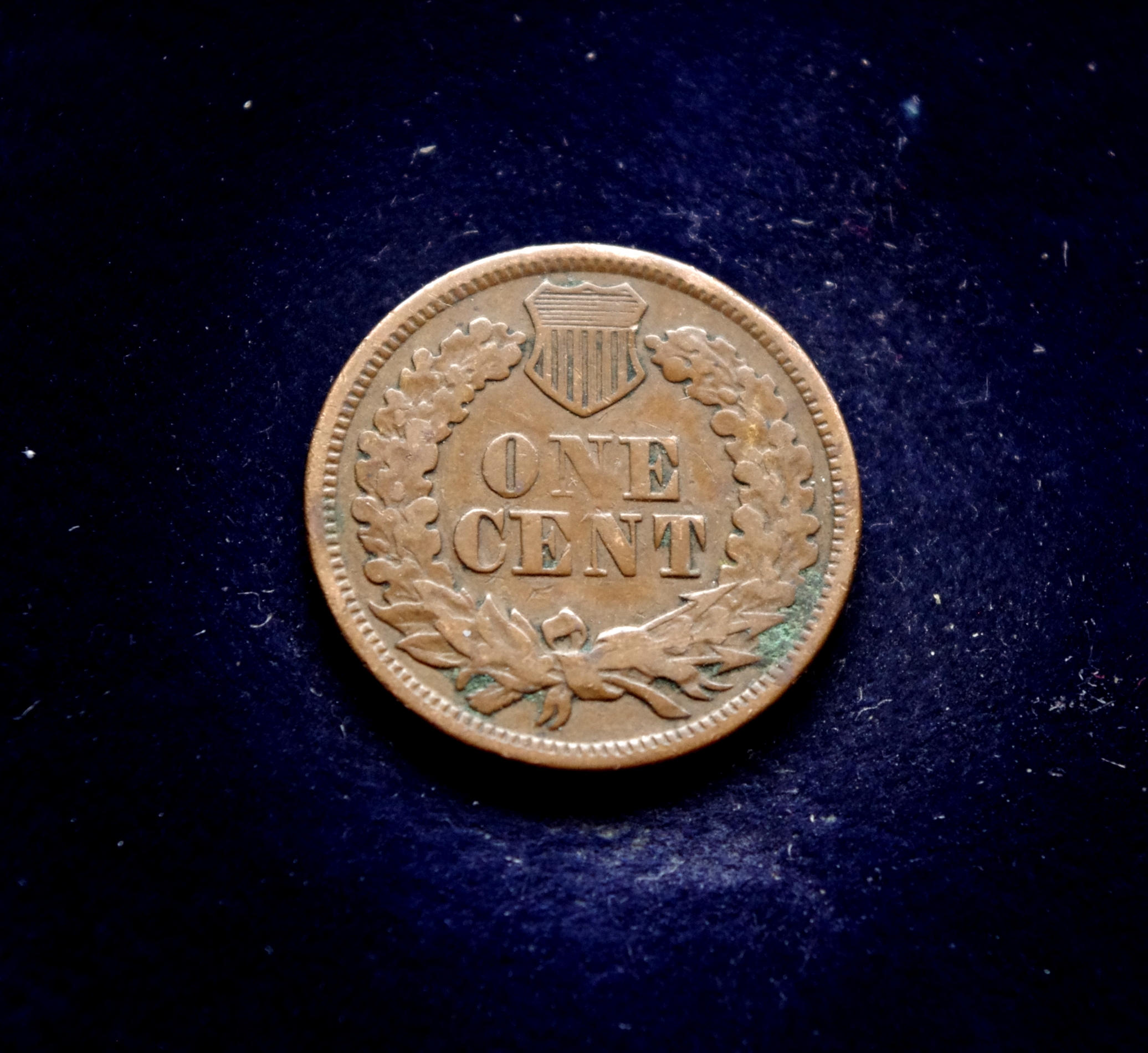 JAV 1 cento moneta. Indėno galva