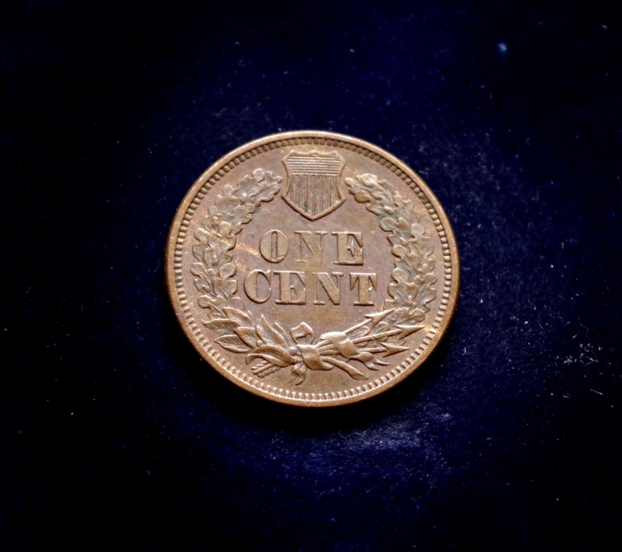 JAV 1 cento moneta. Indėno galva