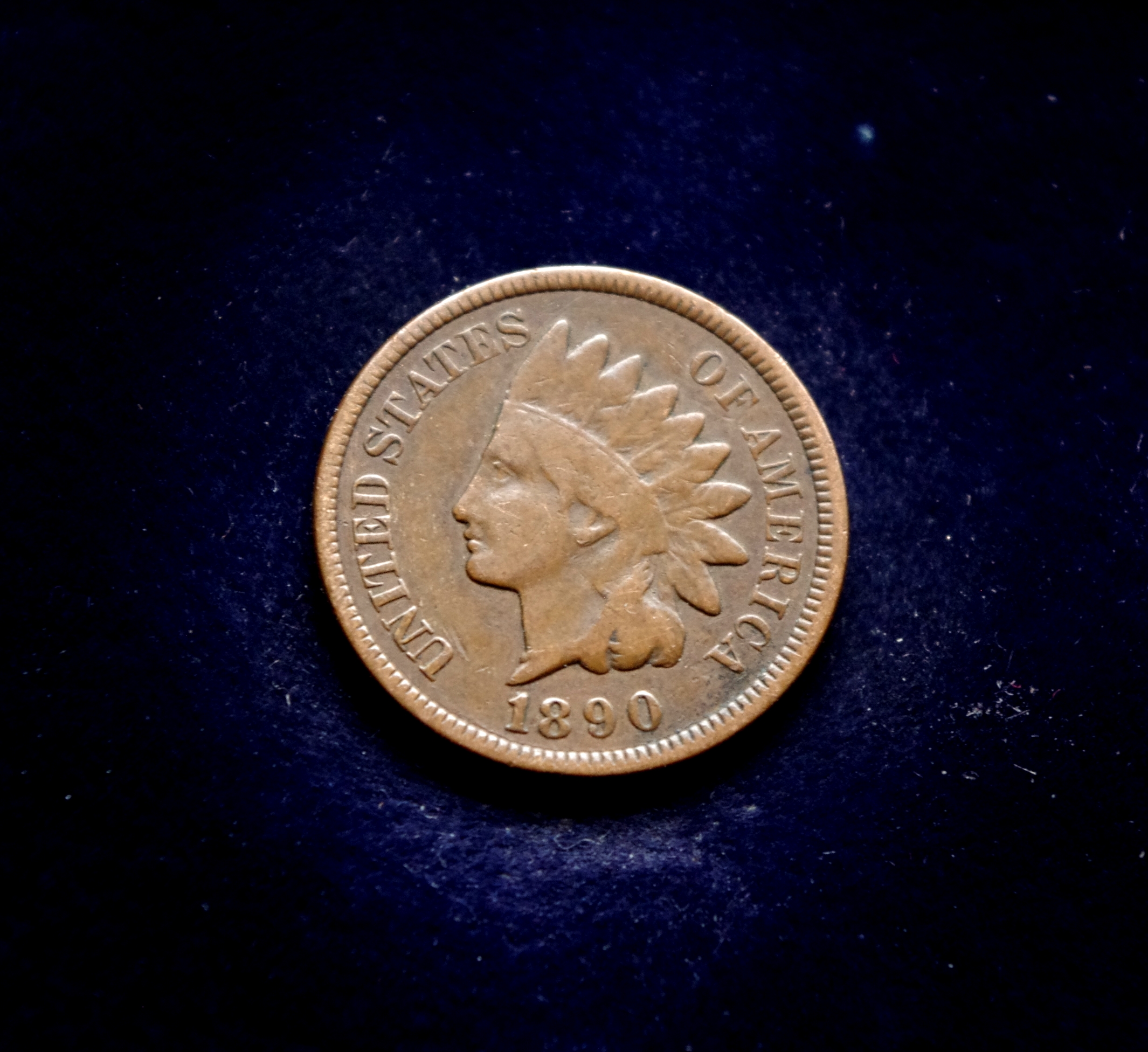 JAV 1 cento moneta. Indėno galva