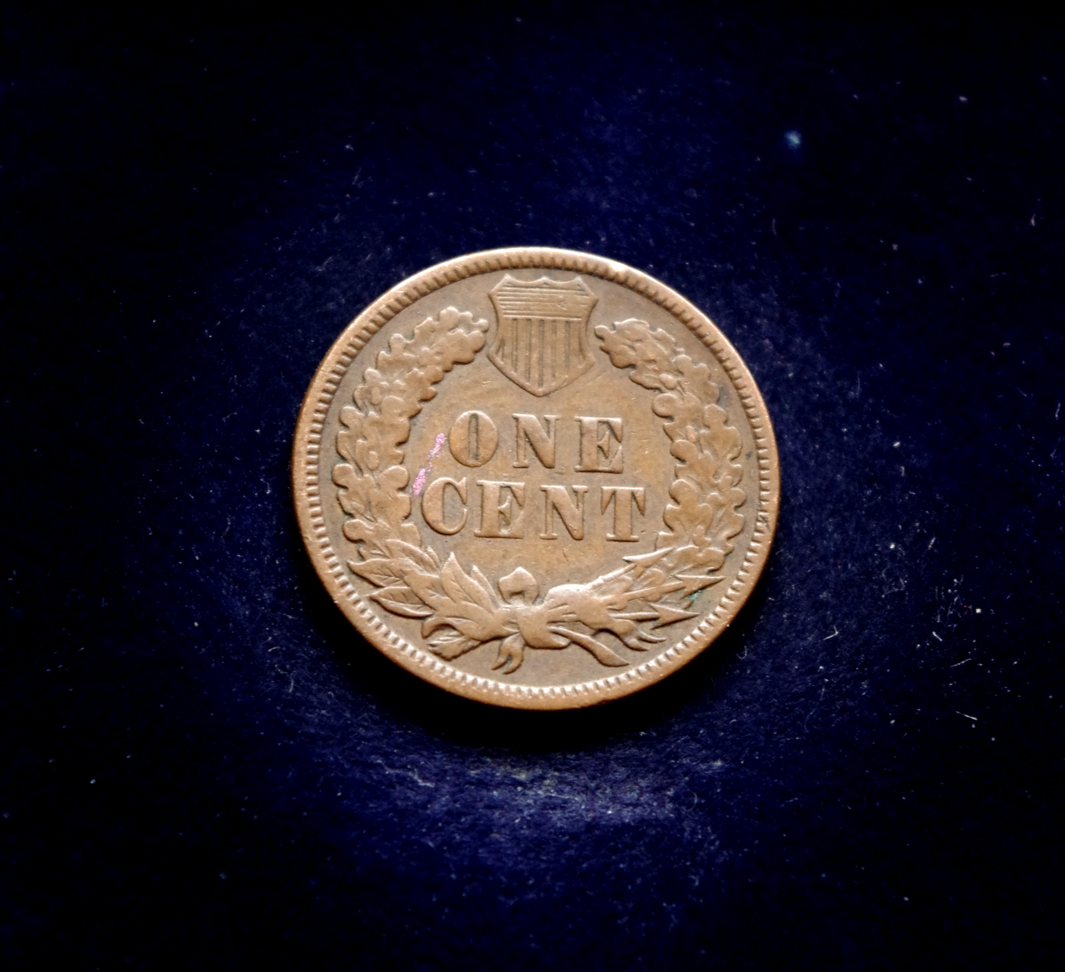 JAV 1 cento moneta. Indėno galva