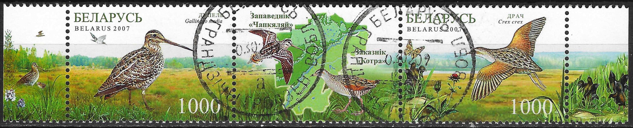 Pašto ženklai, Baltarusija, Čepkelių rezervato ir Katros draustinio gamta