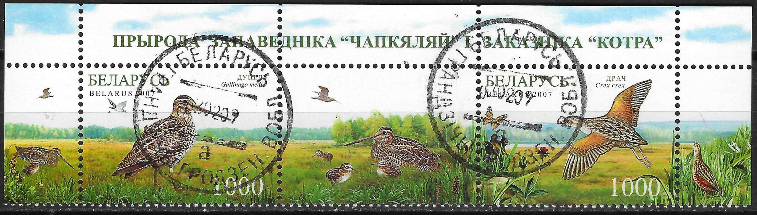 Pašto ženklai, Baltarusija, Čepkelių rezervato ir Katros draustinio gamta