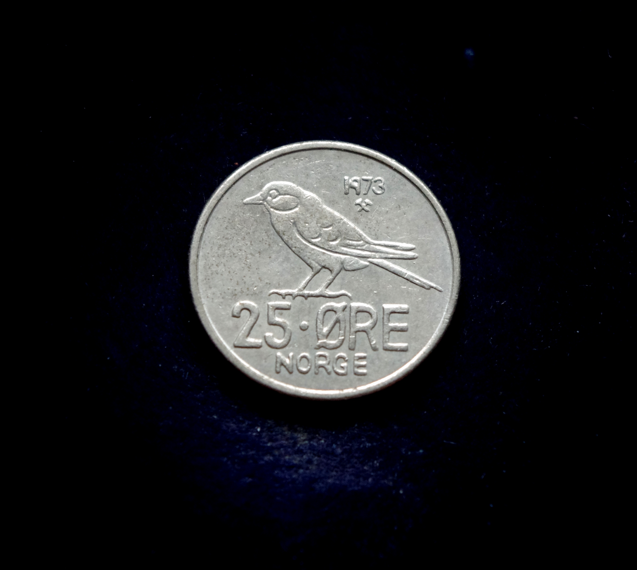 moneta, 25 erės, Norvegija, paukštis zylė