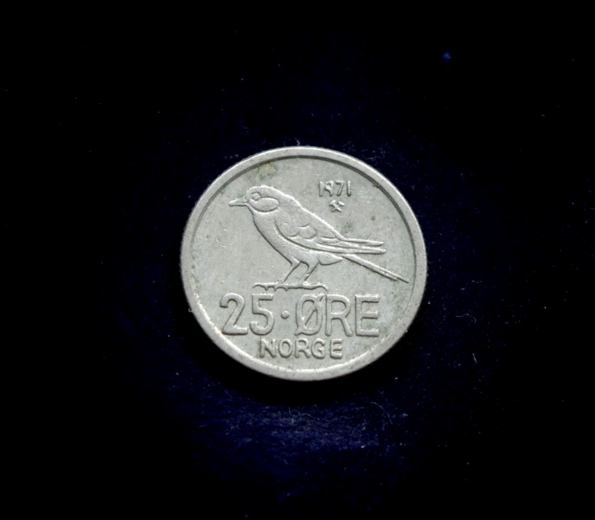 moneta, 25 erės, Norvegija, paukštis zylė