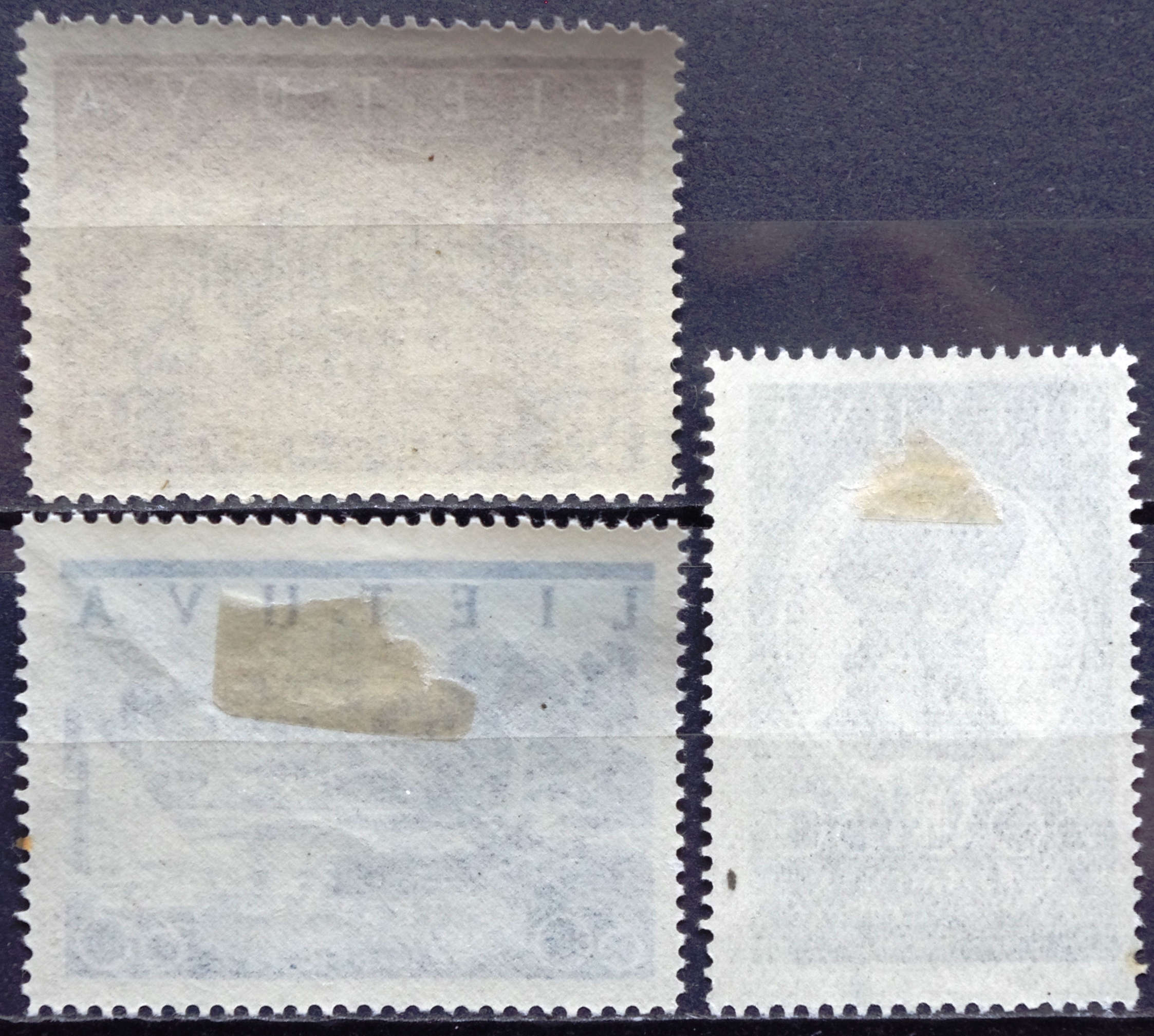 Tarpukario Lietuva, Vilniaus atgavimo pašto ženklų laida