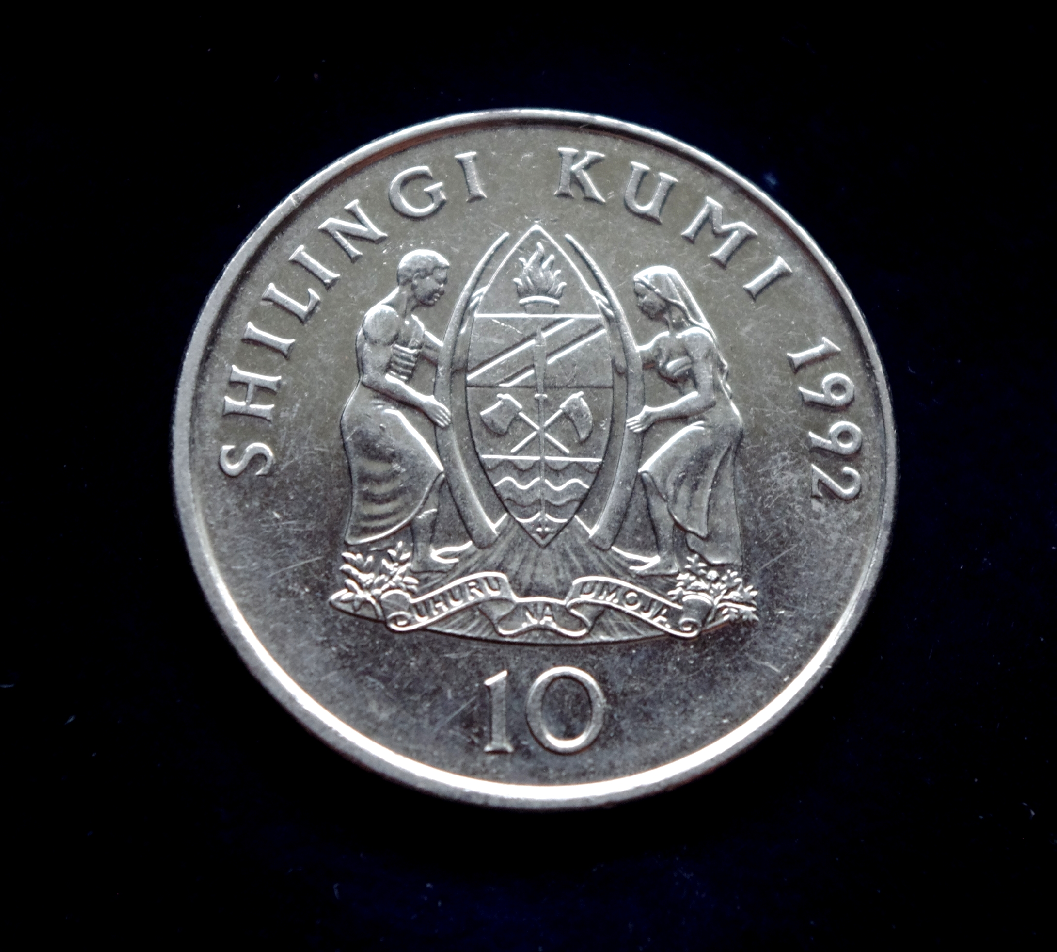 Tanzanijos 10 šilingų moneta. Julius Nyerere - 1-asis Tanzanijos prezidentas