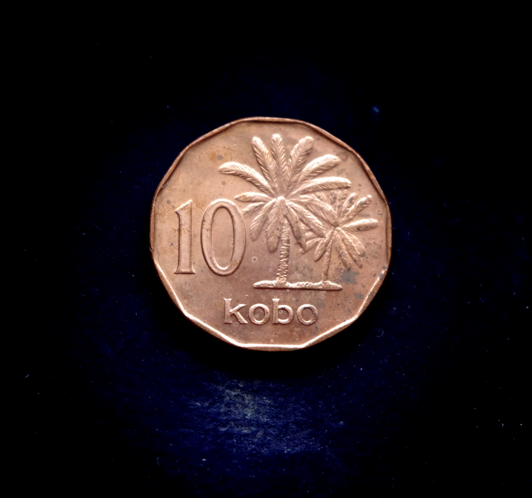 Nigerijos 10 kobų moneta. Palmės
