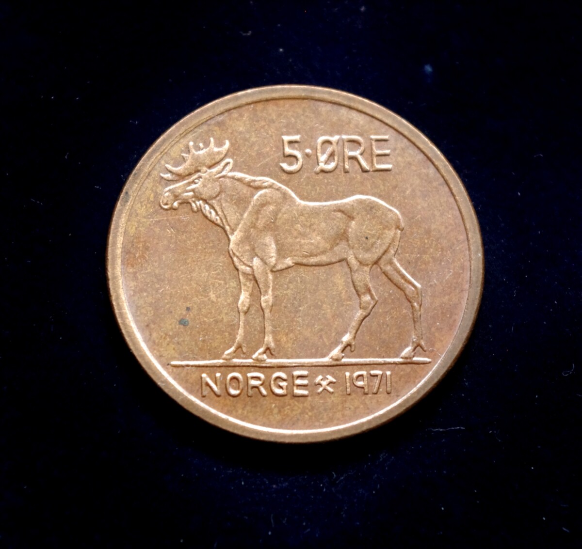 moneta, 5 erės, Norvegija, briedis