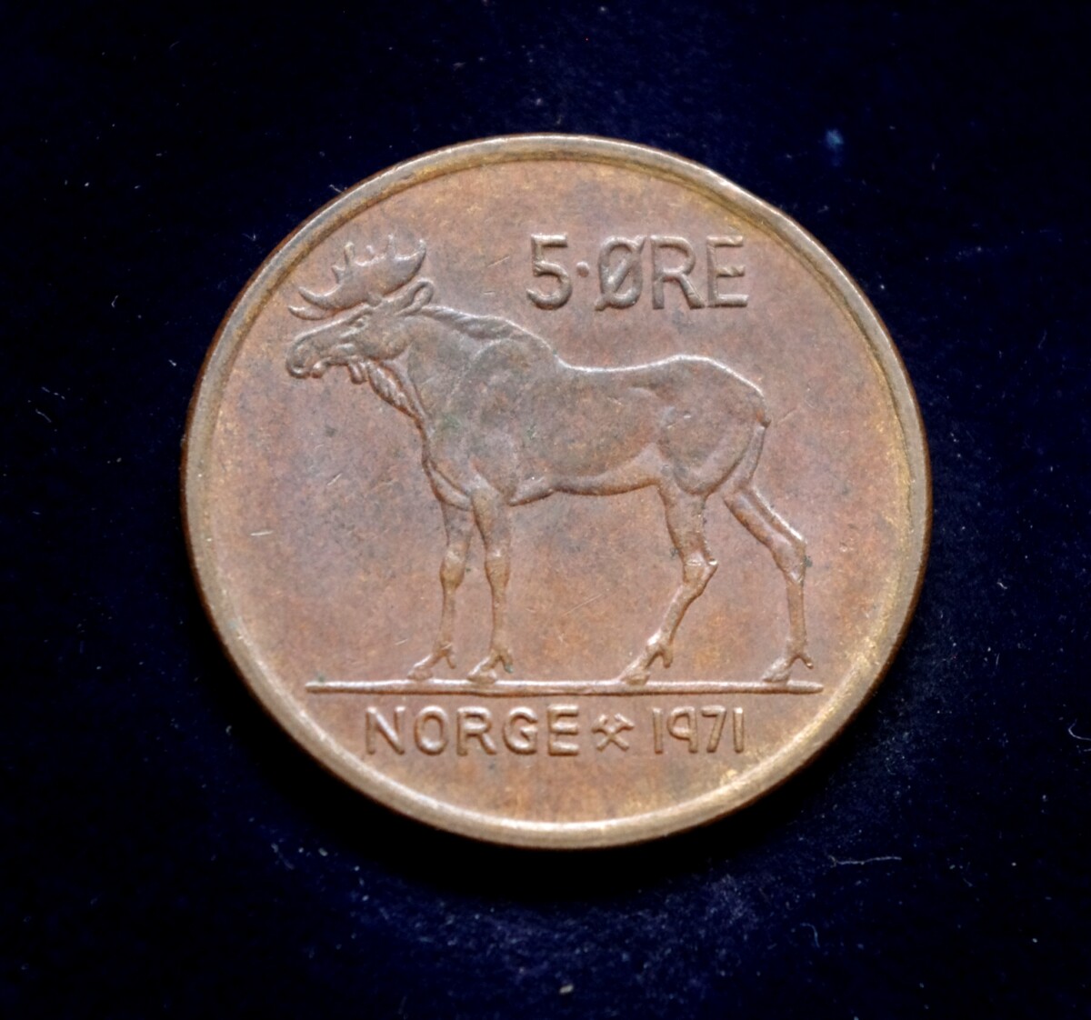 moneta, 5 erės, Norvegija, briedis