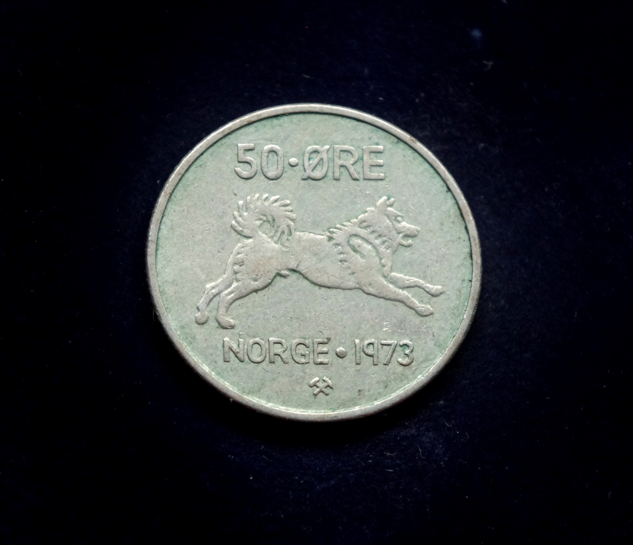 IMGP8035 moneta, 50 erių, Norvegija, šuo