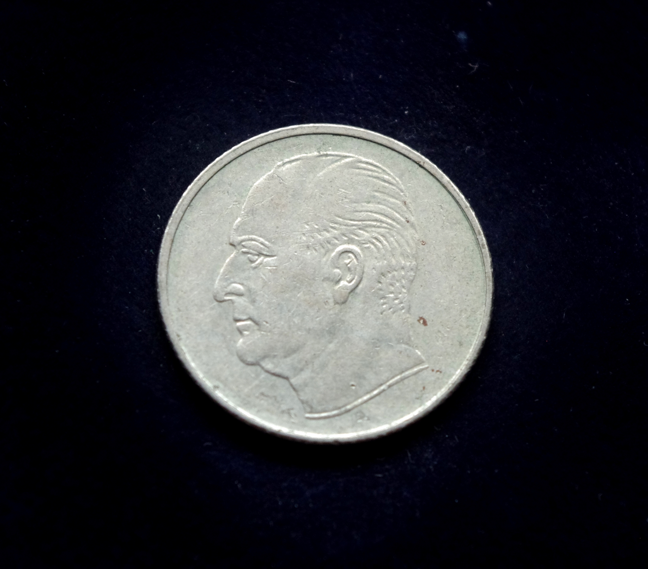 IMGP8036 moneta, 50 erių, Norvegija, šuo