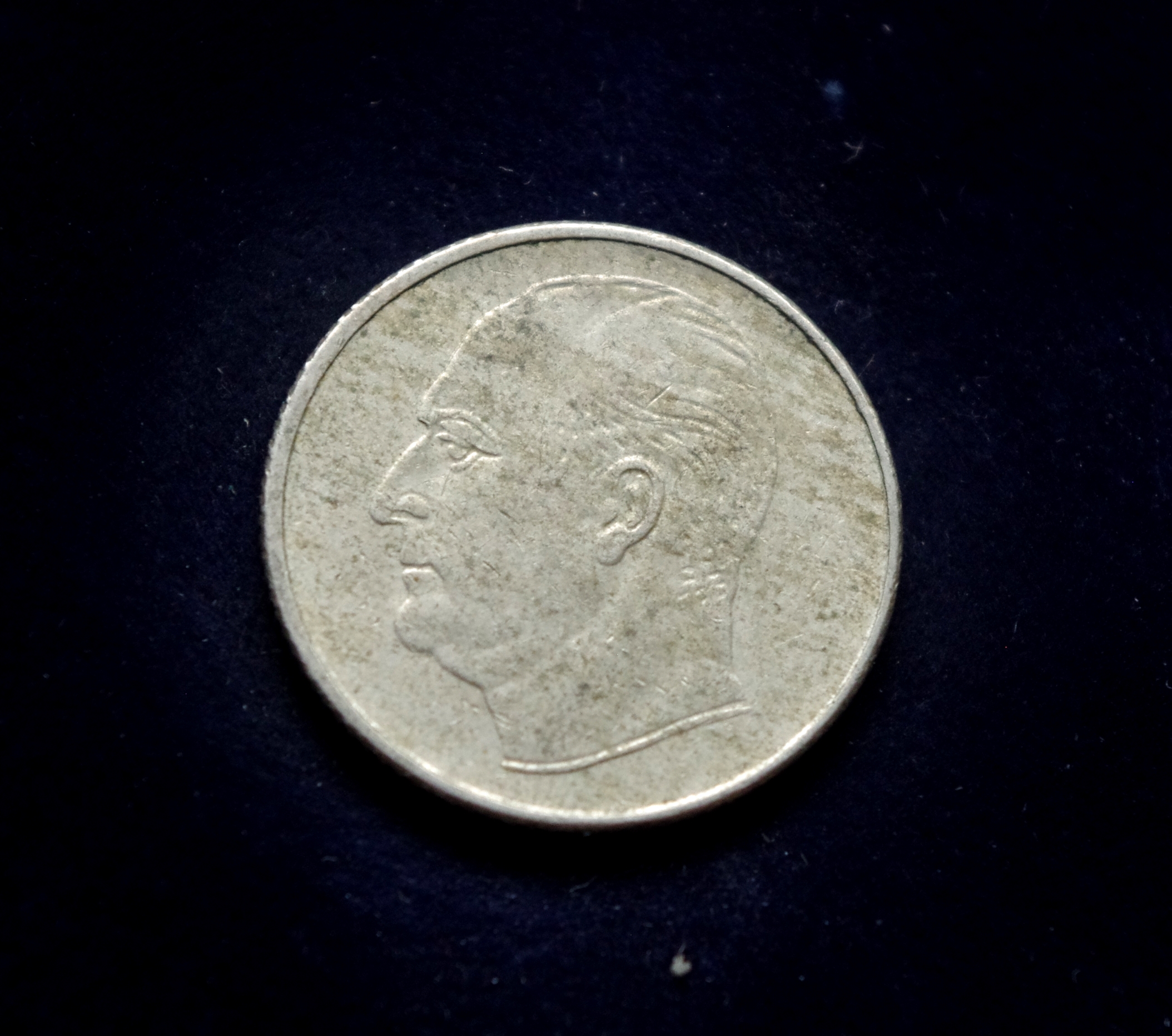 IMGP8041 moneta, 50 erių, Norvegija, šuo