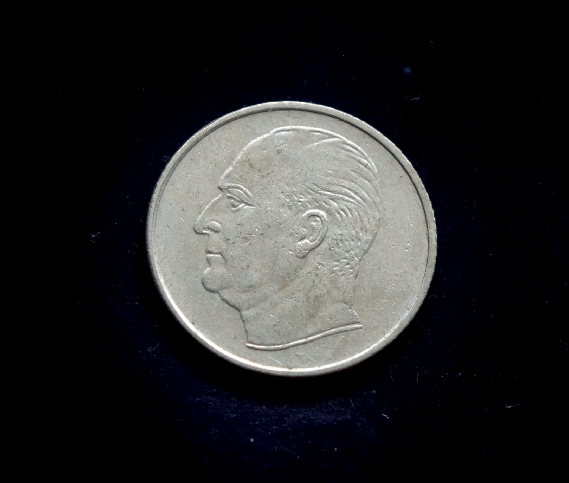 moneta, 50 erių, Norvegija, šuo