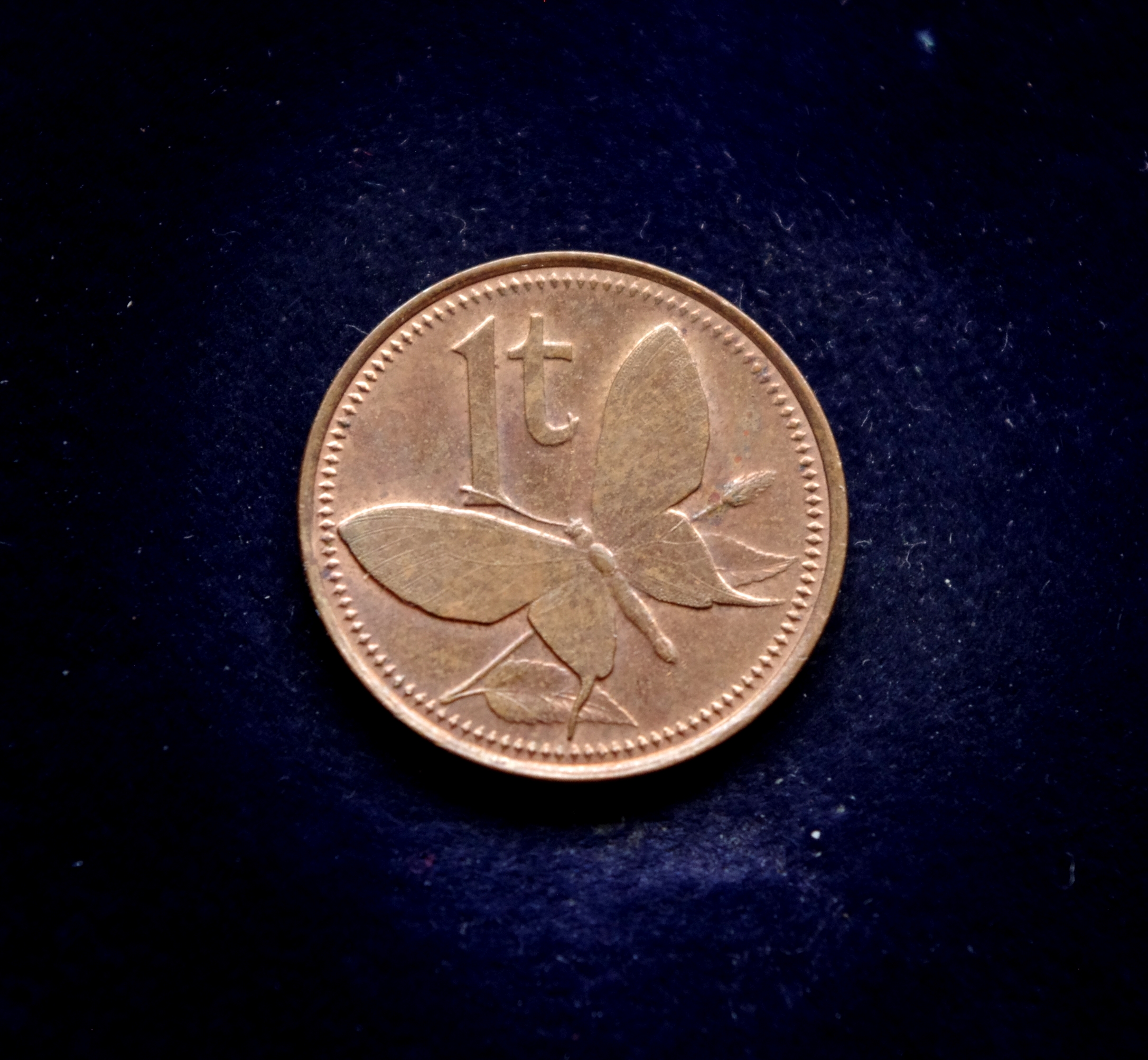 Papua Naujosios Gvinėjos 1 tojos moneta. Didysis rojaus paukštis, drugelis