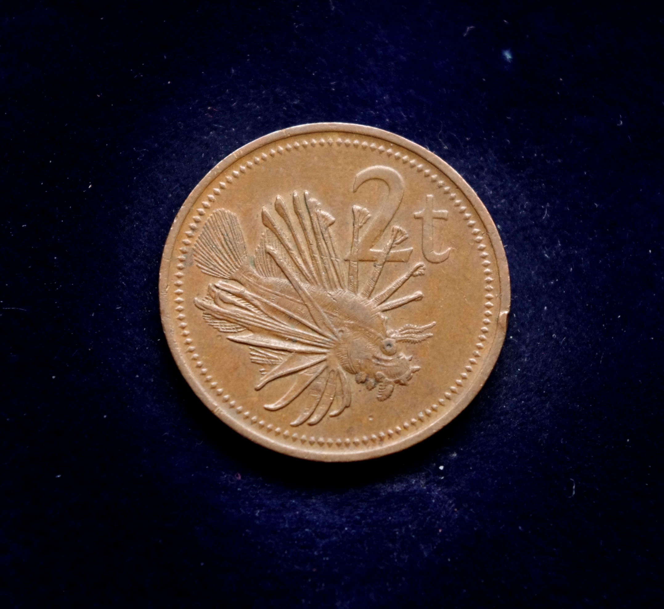 Papua Naujosios Gvinėjos 2 tojų moneta. Didysis rojaus paukštis, liūtžuvė