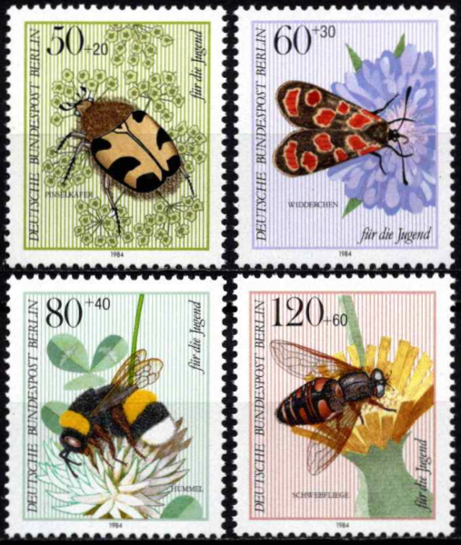 Apdulkintojai vabzdžiai