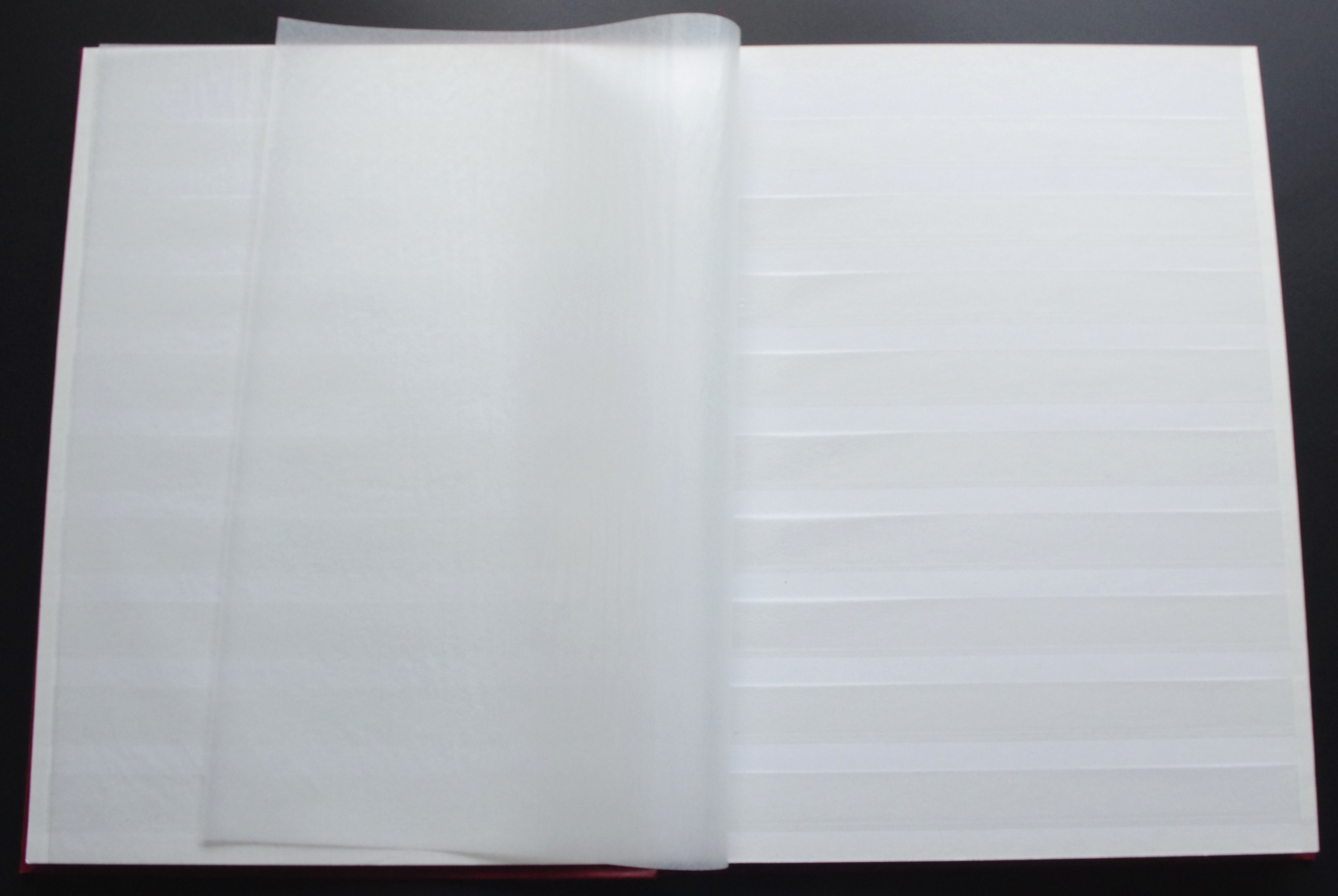 Naudotas, raudonos spalvos, labai geros būklės albumas pašto ženklams