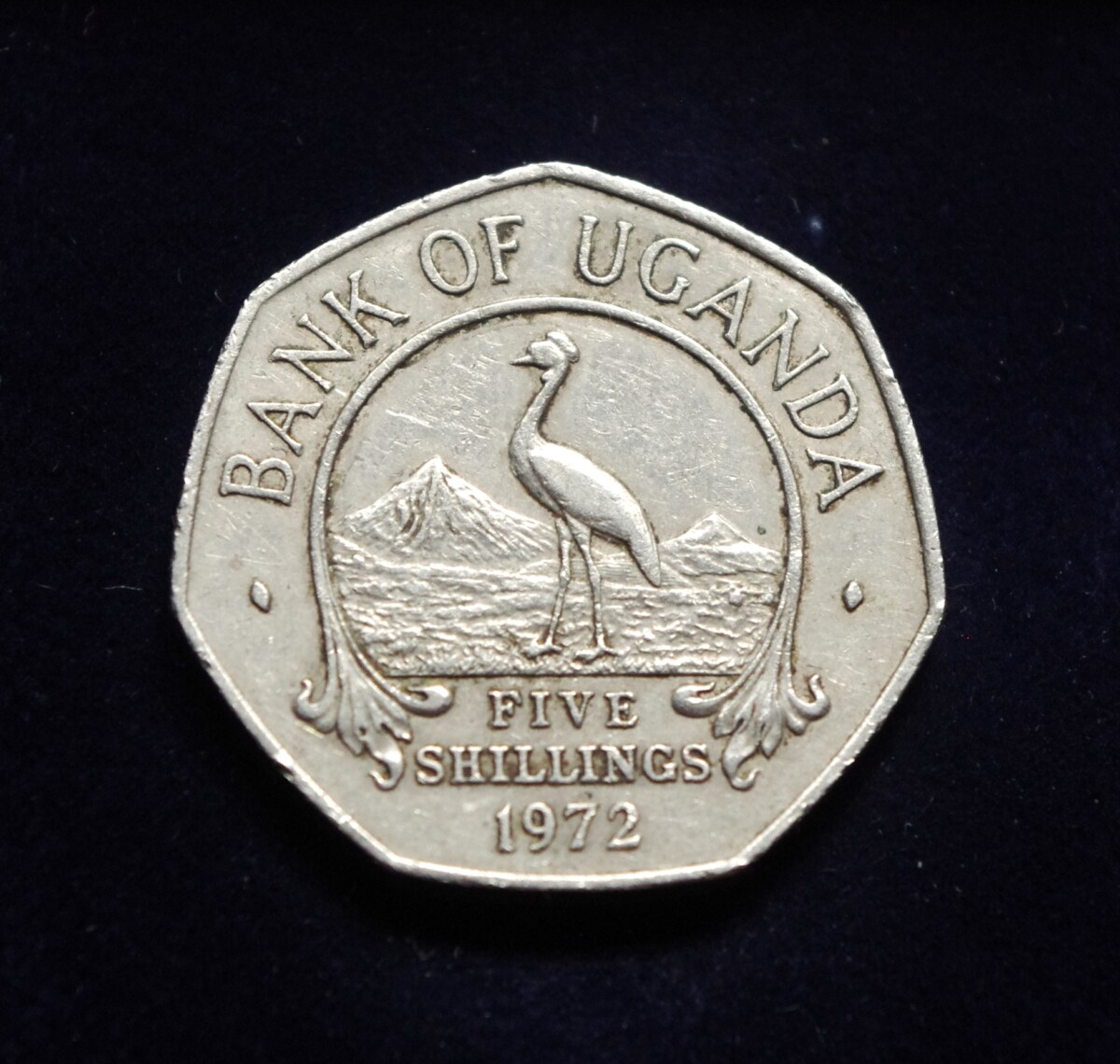moneta, 5 šilingai, Uganda