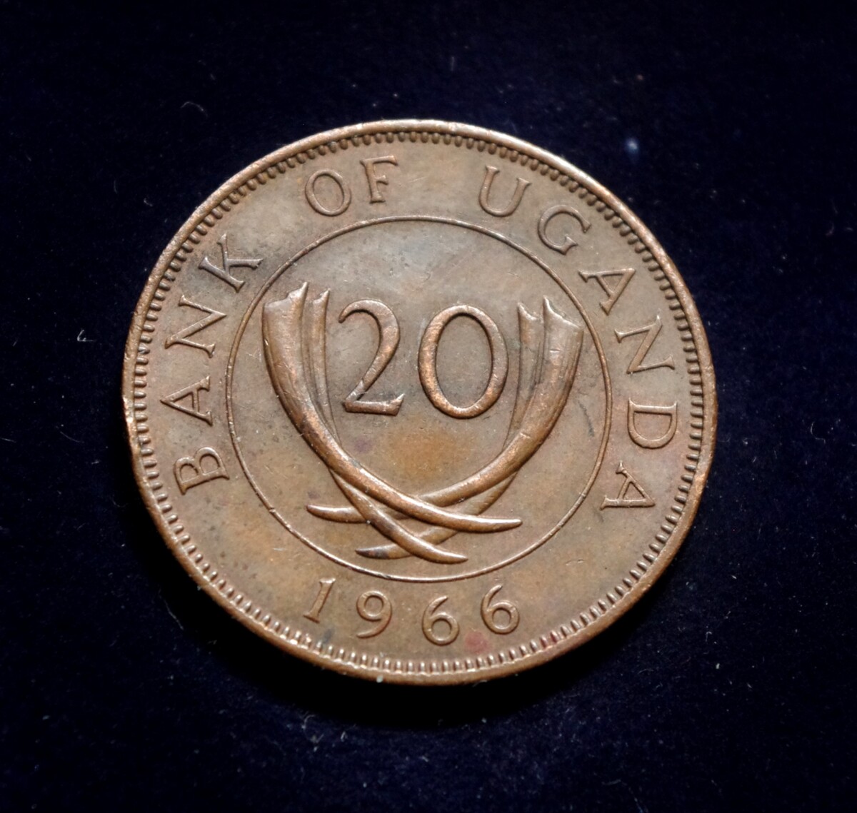moneta, 20 centų, Uganda