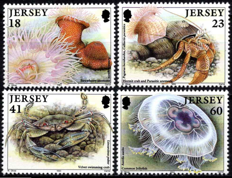 Džersis, pilna serija, MiNr 665-668 MNH**