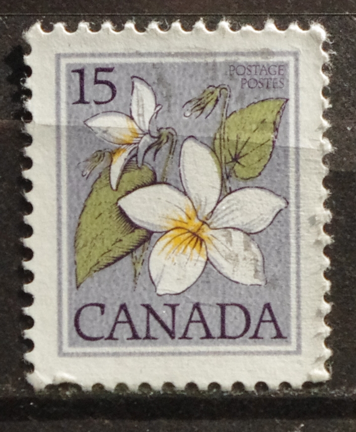 pašto ženklas, Kanada, gėlė