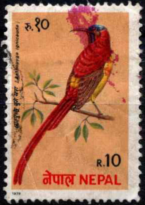 Nepalas, MiNr 383 Used (O)