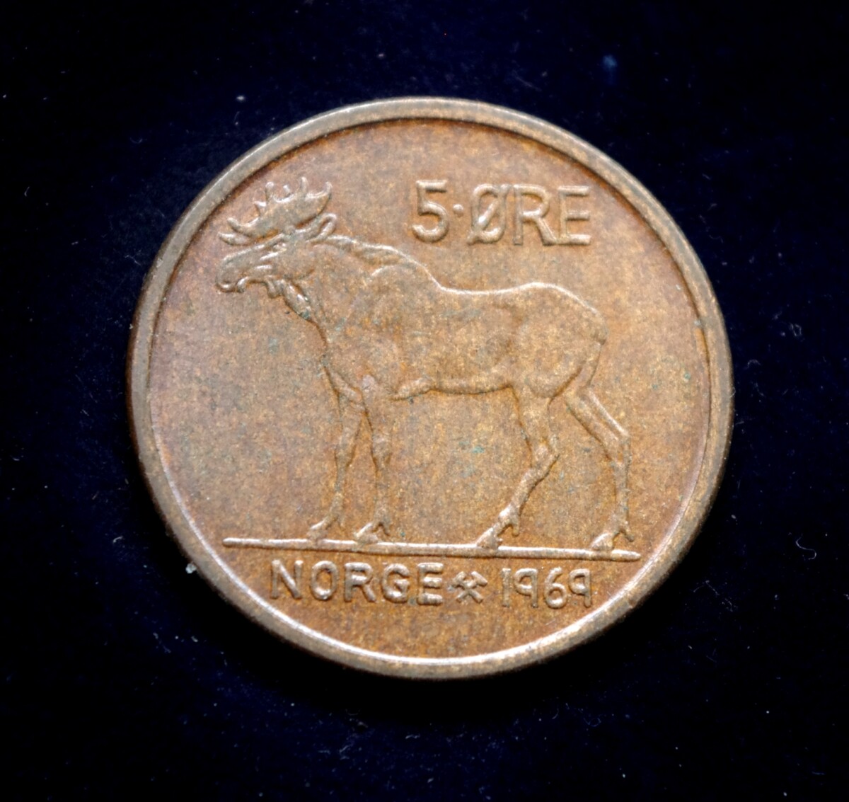 moneta, 5 erės, Norvegija, briedis