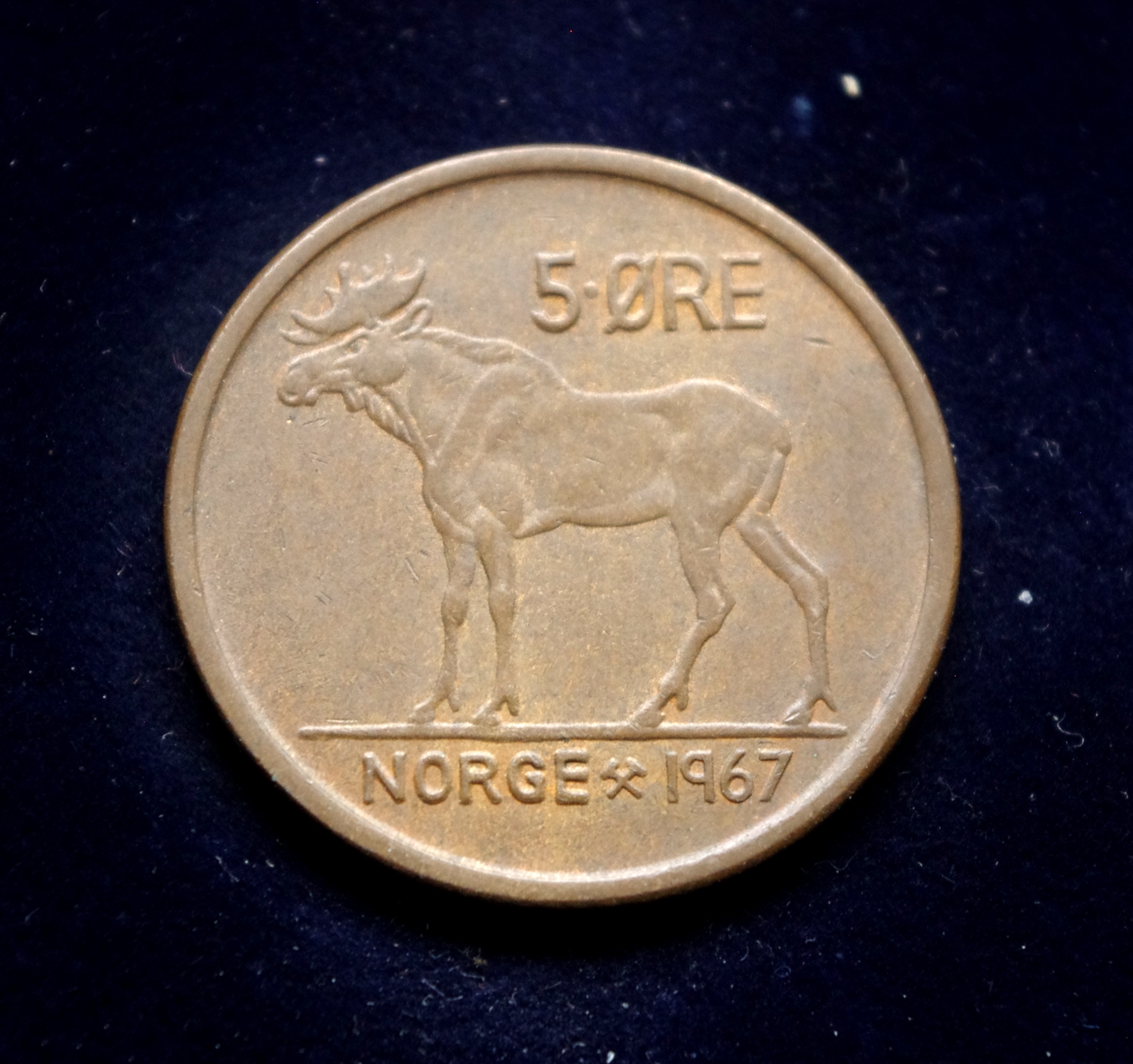 moneta, 5 erės, Norvegija, briedis