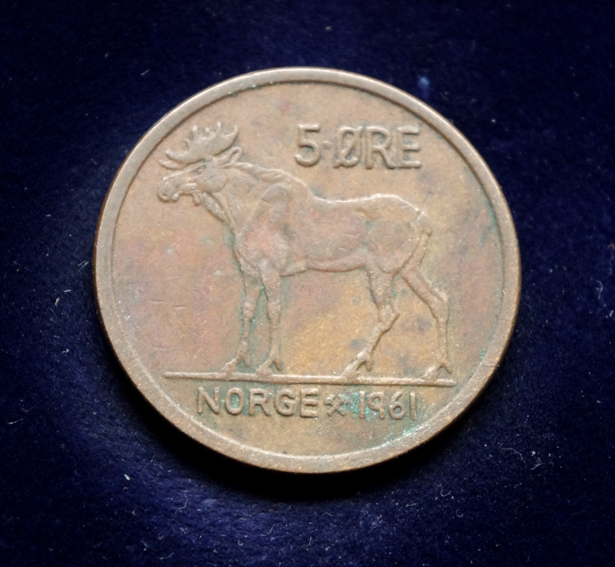 moneta, 5 erės, Norvegija, briedis