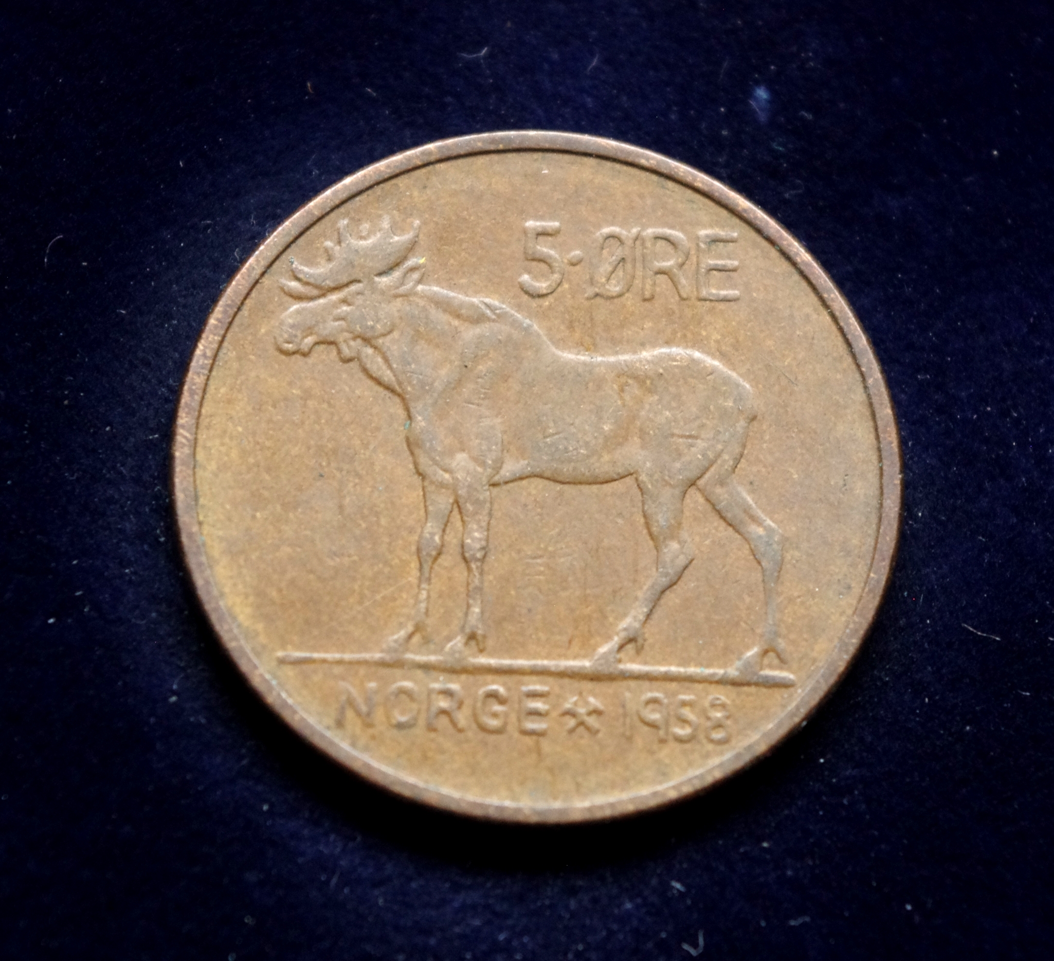 moneta, 5 erės, Norvegija, briedis