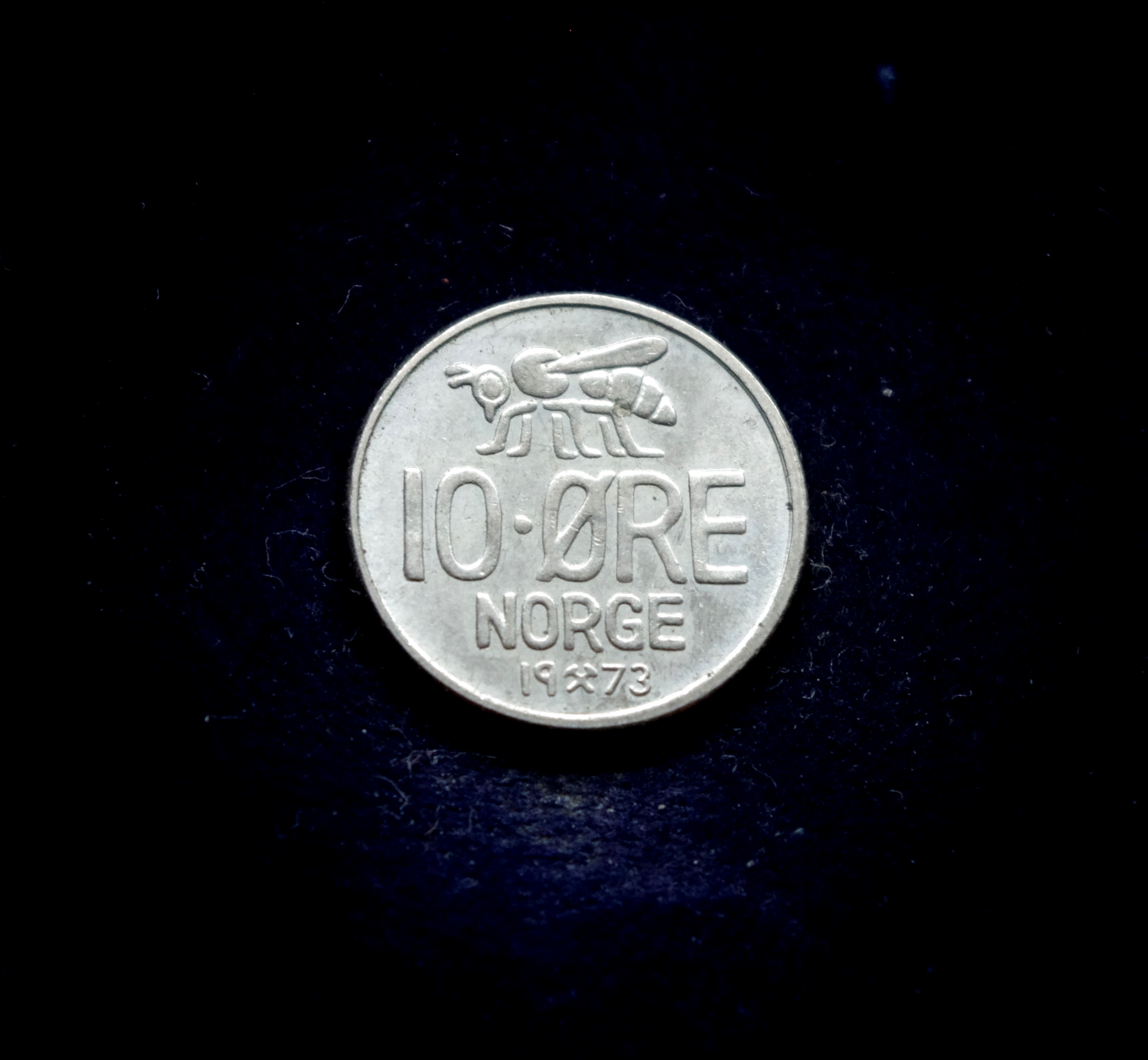 IMGP7154 moneta, 10 erių, Norvegija, bitė