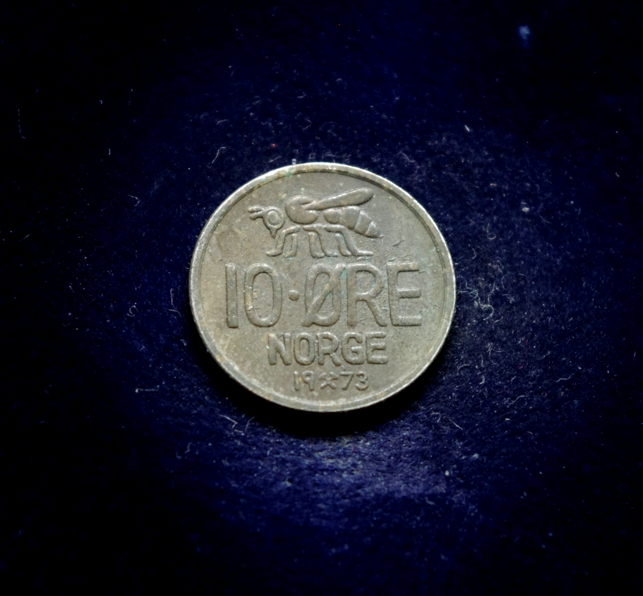 IMGP7157 moneta, 10 erių, Norvegija, bitė