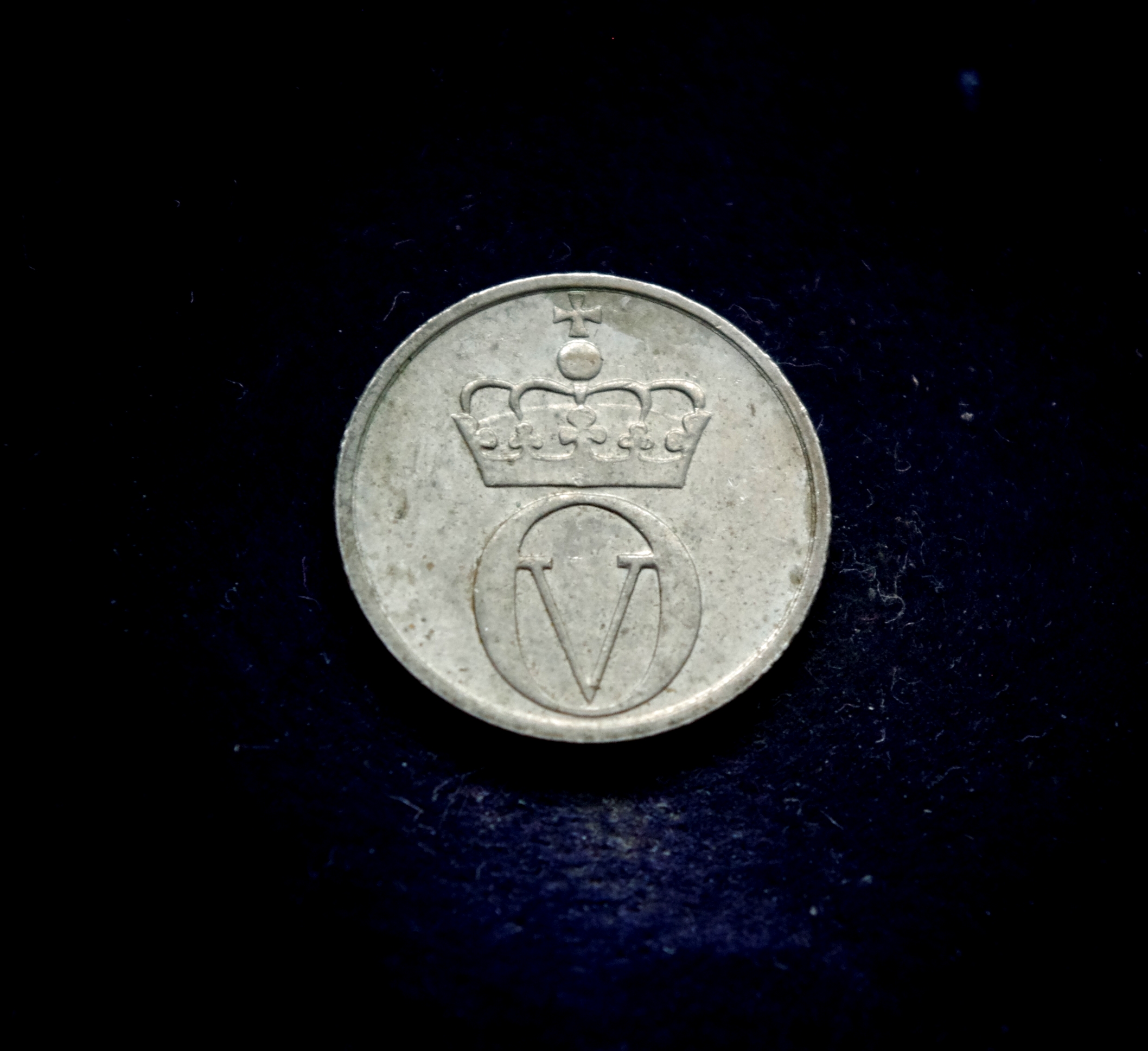 IMGP7159 moneta, 10 erių, Norvegija, bitė