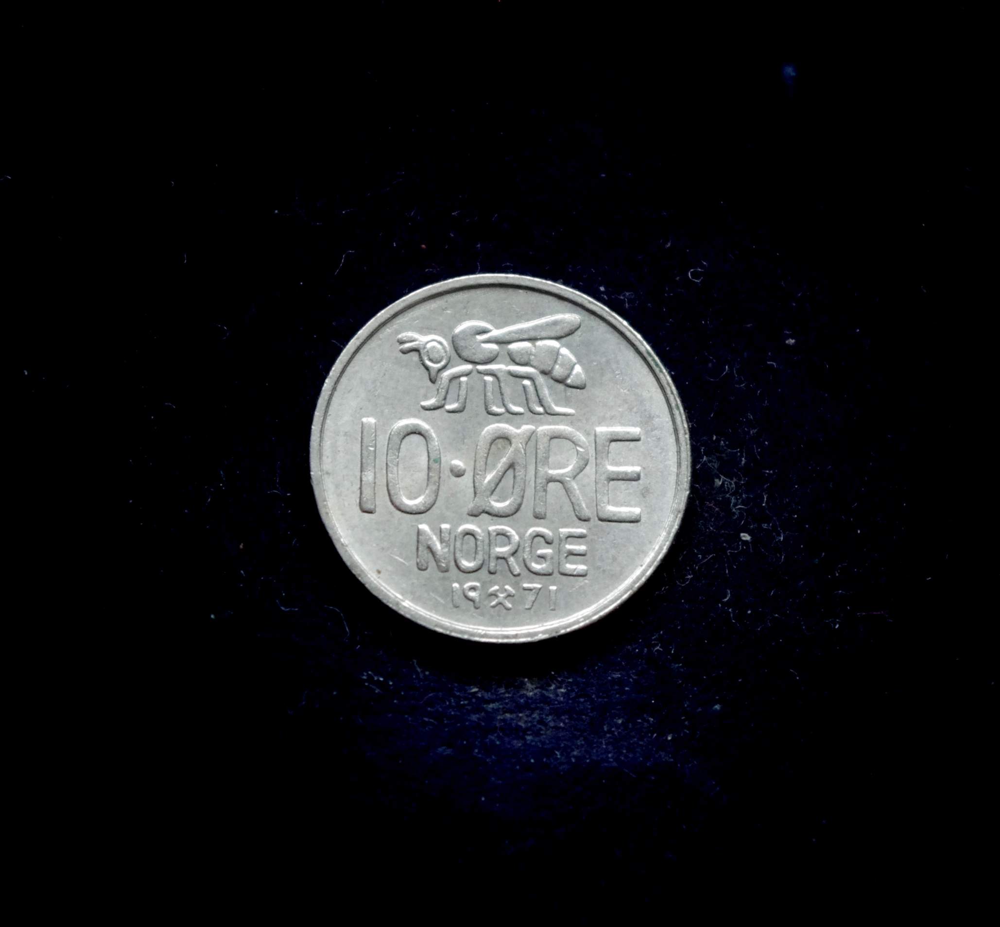 IMGP7182 moneta, 10 erių, Norvegija, bitė