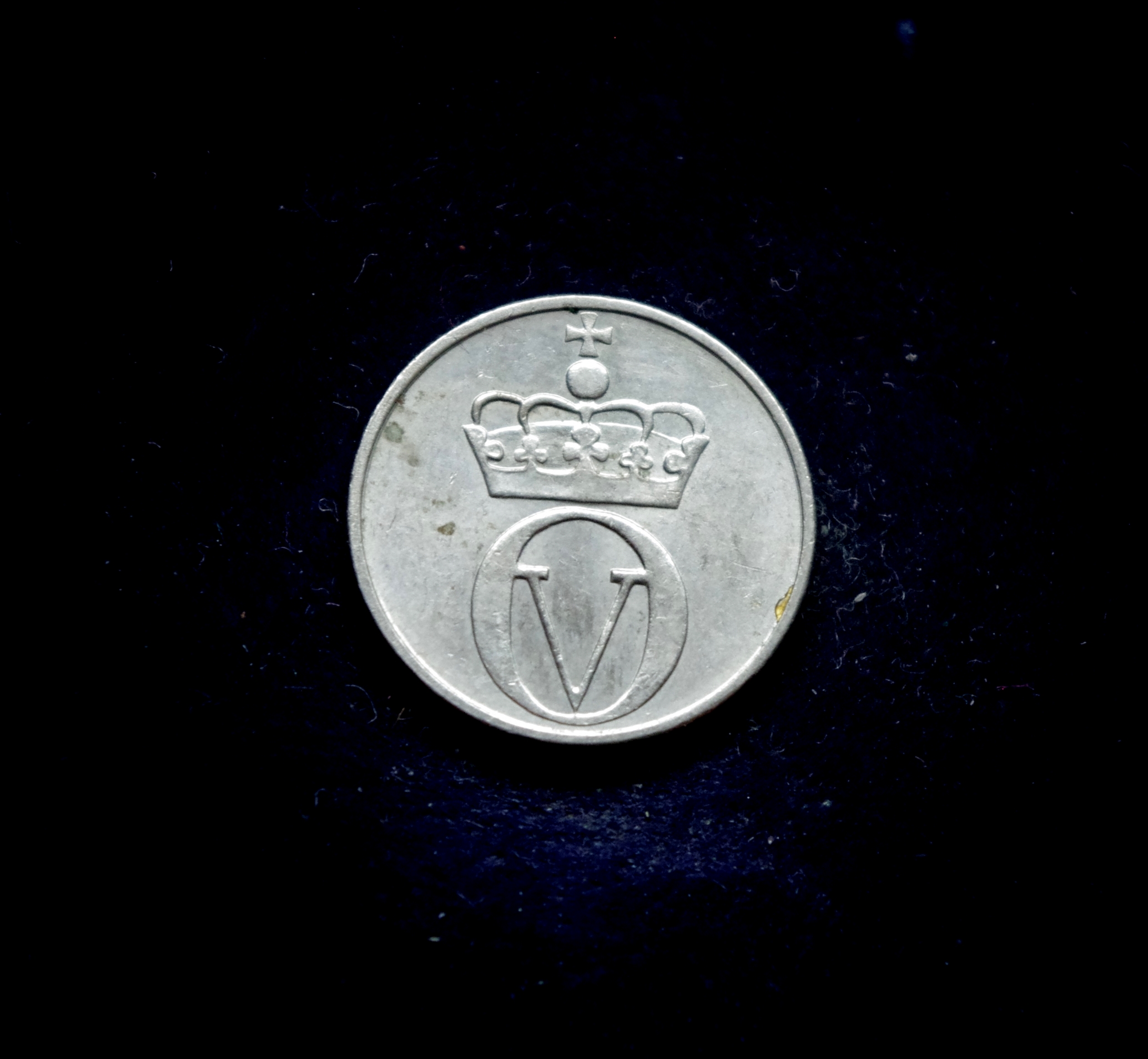 IMGP7184 moneta, 10 erių, Norvegija, bitė