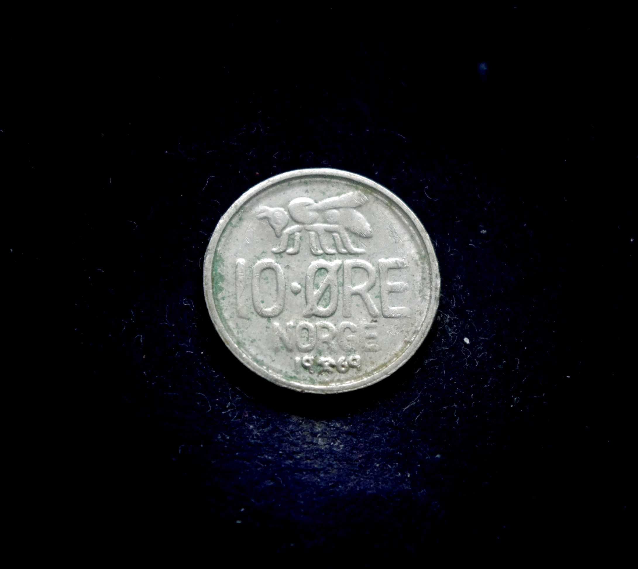 IMGP7190 moneta, 10 erių, Norvegija, bitė