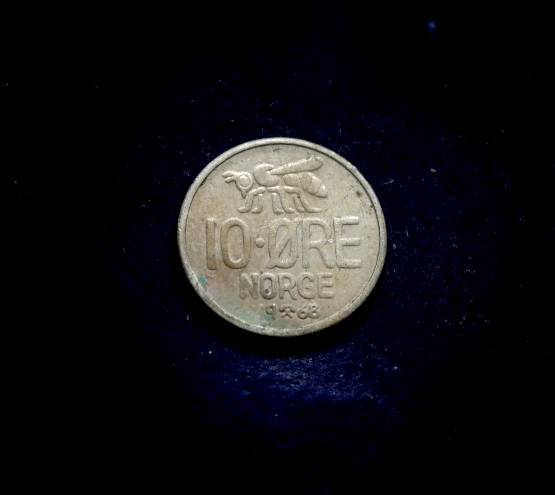 IMGP7210 moneta, 10 erių, Norvegija, bitė