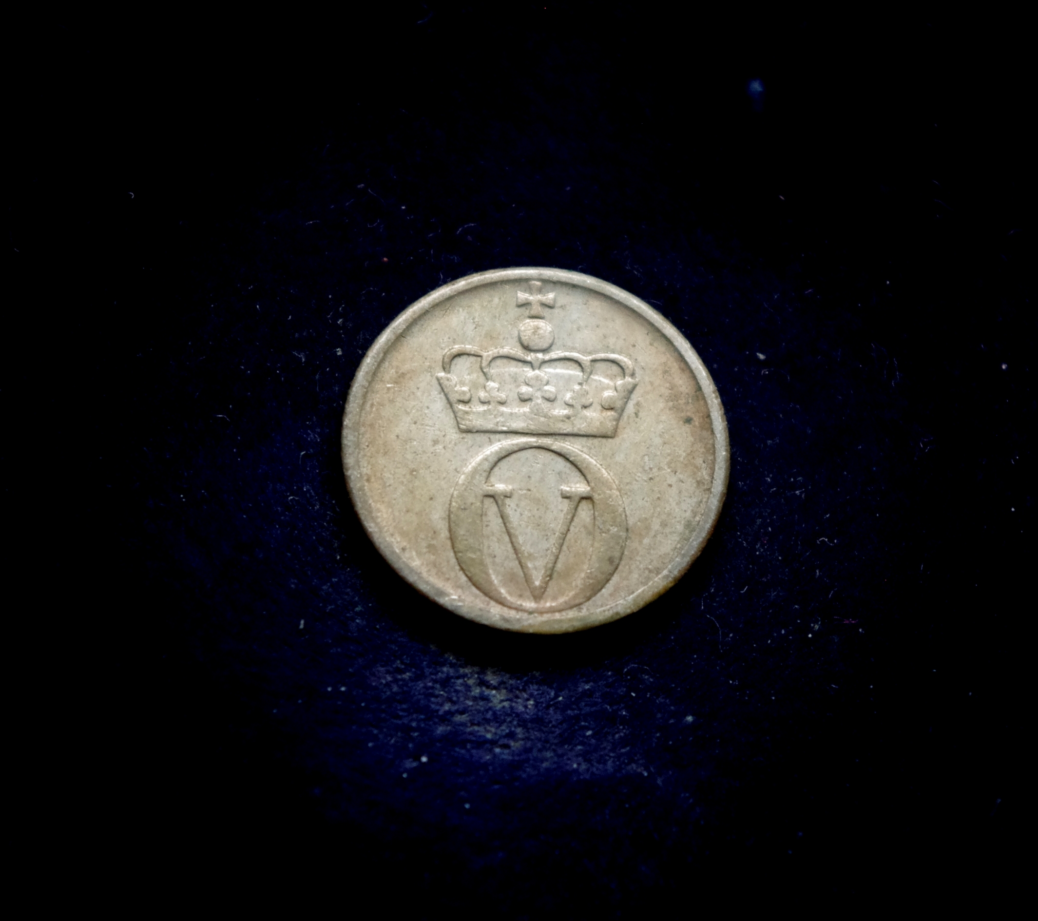 IMGP7211 moneta, 10 erių, Norvegija, bitė