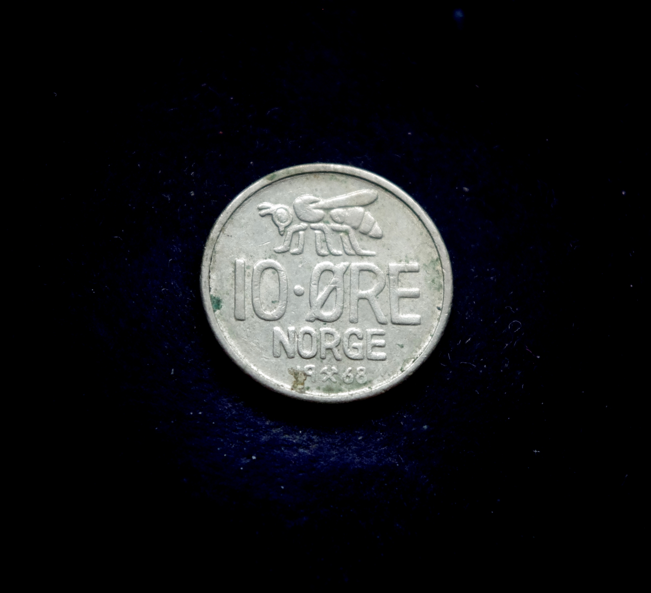 IMGP7213 moneta, 10 erių, Norvegija, bitė