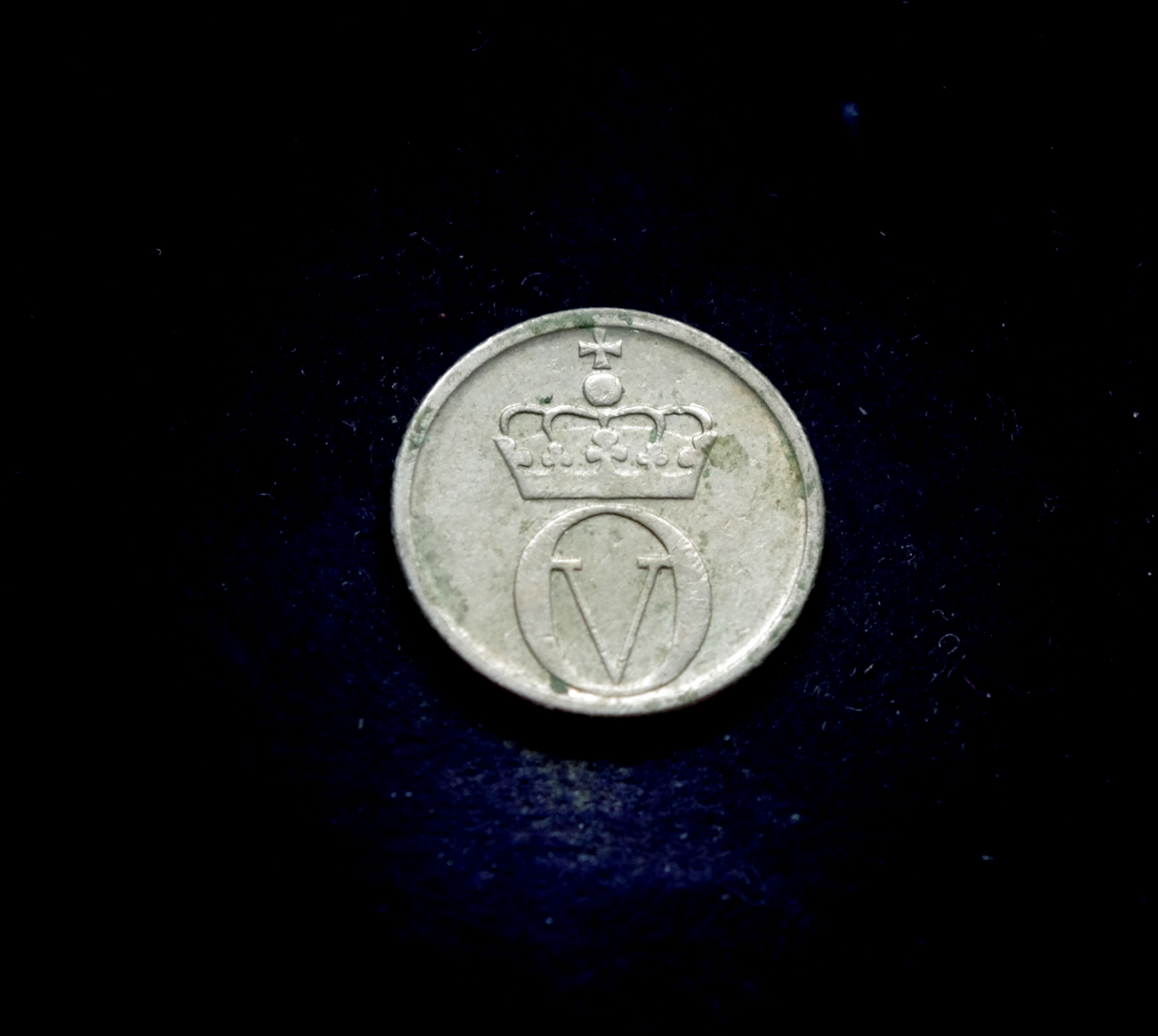 IMGP7216 moneta, 10 erių, Norvegija, bitė